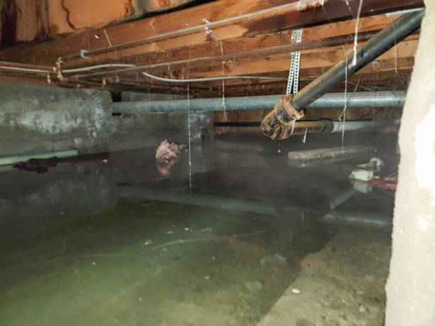 Best Carpet water damage restoration  in Crooked River Ranch, OR