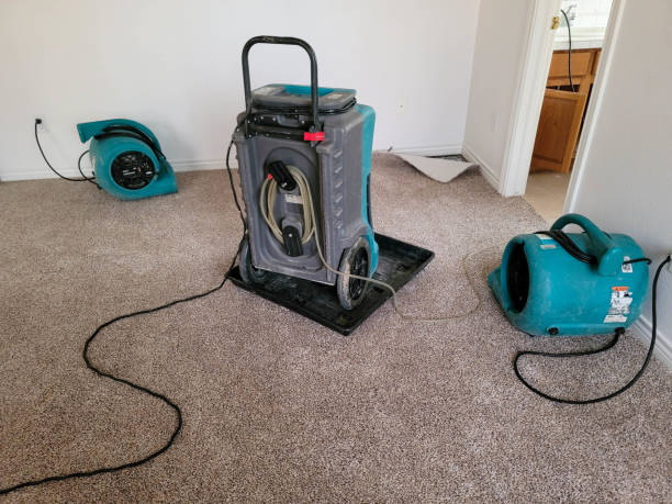 Trusted OR Water damage restoration Experts