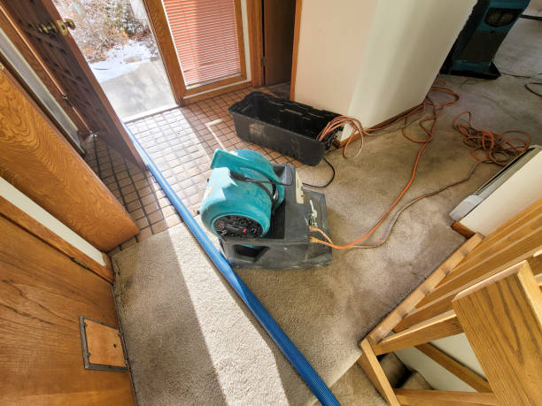 Best Basement water damage restoration  in Crooked River Ranch, OR