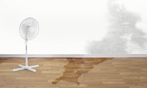 Best Professional water damage repair  in Crooked River Ranch, OR