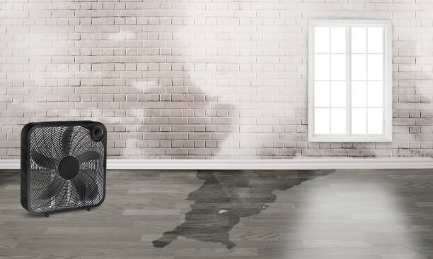 Best Fire Damage Restoration  in Crooked River Ranch, OR