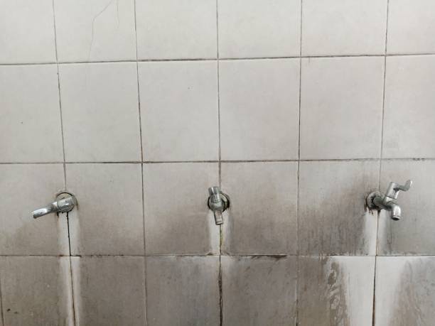 Best Flooded house restoration  in Crooked River Ranch, OR