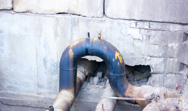 Best Mold removal after water damage  in Crooked River Ranch, OR
