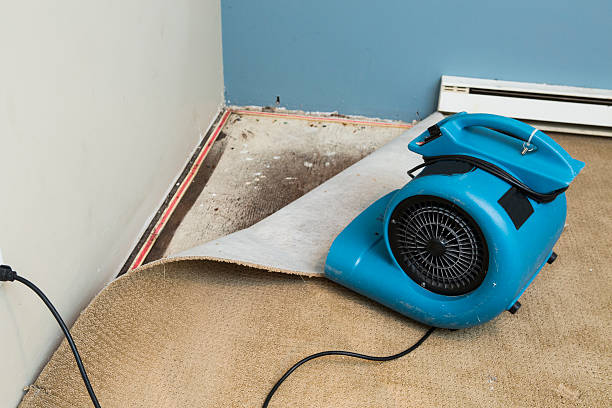 Best Flood damage cleanup  in Crooked River Ranch, OR